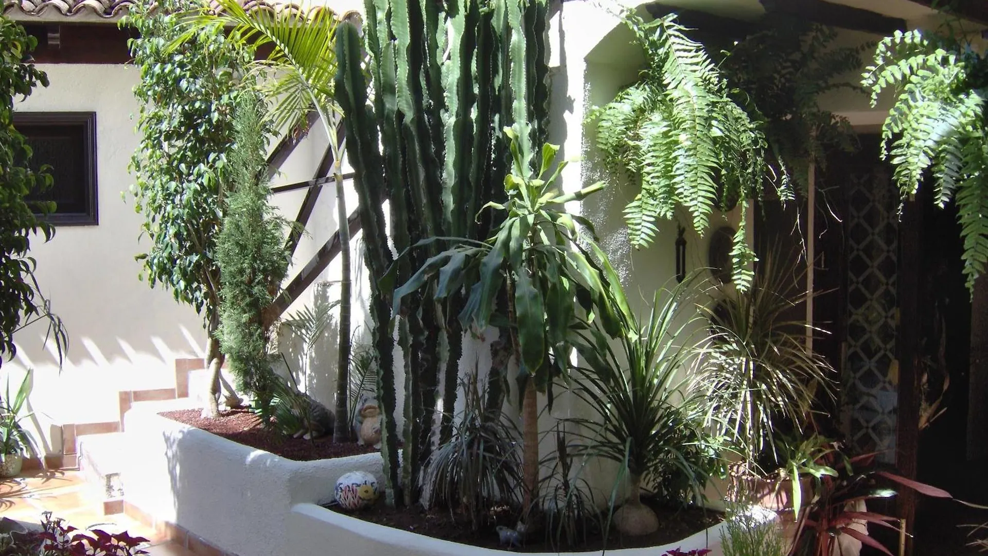 Apartment Kleines Einzelzimmer Mit Meerblick Icod De Los Vinos Spain